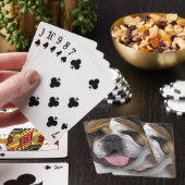 Een Engelse buldog in België. Pokerkaarten (Insitu)