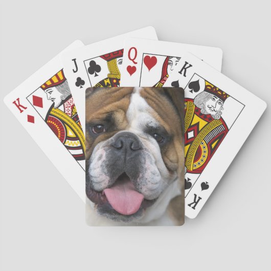 Een Engelse buldog in België. Pokerkaarten (Achterkant)