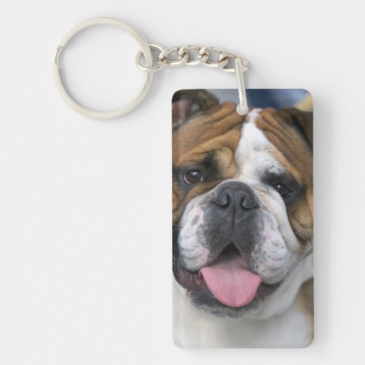 Een Engelse buldog in België. Sleutelhanger (Voorkant)