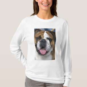 Een Engelse buldog in België. T-shirt