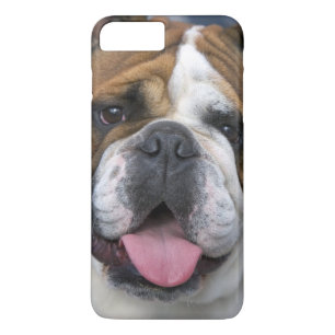 Een engelse bulldog in België. Case-Mate iPhone Case