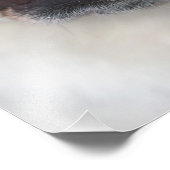 Een engelse bulldog in België. Foto Afdruk (Hoek)