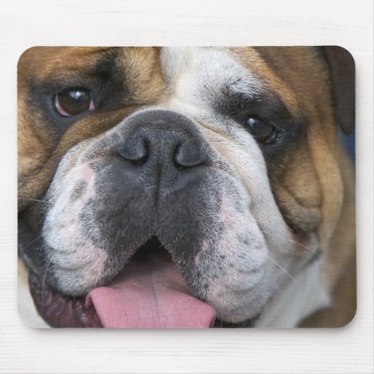 Een engelse bulldog in België. Muismat (Voorkant)