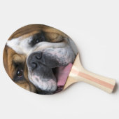Een engelse bulldog in België. Tafeltennisbatje (Zijkant)