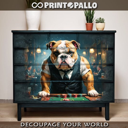 Een Engelse bulldog spelen als croupier in een cas Tissuepapier