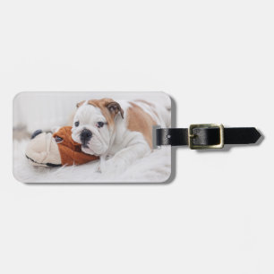 Een Engelse bulledog-puppy met een bulledog Bagagelabel
