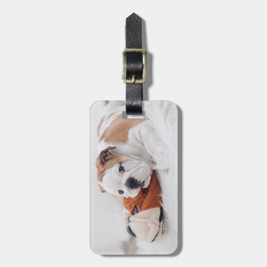 Een Engelse bulledog-puppy met een bulledog Bagagelabel (Voorkant verticaal)
