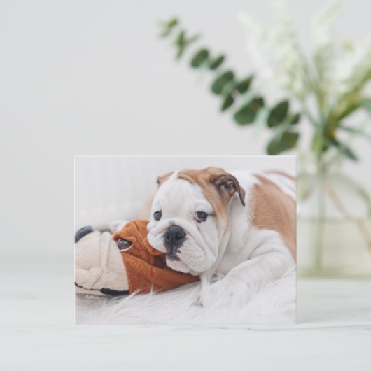 Een Engelse bulledog-puppy met een bulledog Briefkaart (Staand voorkant)
