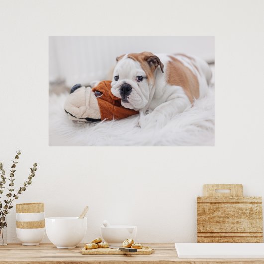 Een Engelse bulledog-puppy met een bulledog Poster (Keuken)