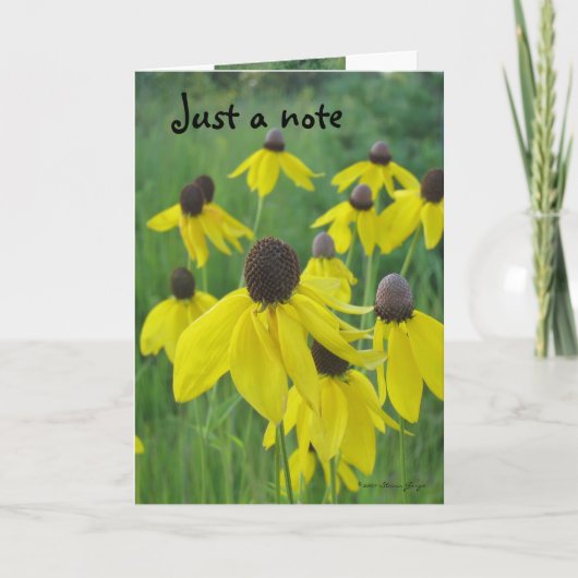 Een enkel Kaart van de Nota/een Gele Coneflowers (Voorkant)