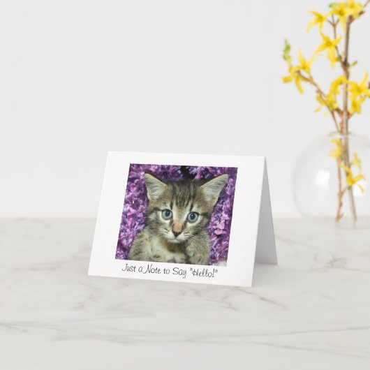Een enkel Nota om "Hallo te zeggen!" Grijs Katje Kaart (Gele Bloem)