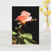 Een enkel roos -a kaart (Gele Bloem)