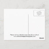 Een enkel roos voor je met liefde... briefkaart (Achterkant)