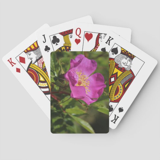 Een enkel vrij Roos Pokerkaarten (Achterkant)