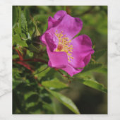 Een enkel vrij Roos Wijn Etiket (Enkel label)