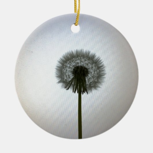 Een enkele Dandelion tegen een witte achtergrond Keramisch Ornament (Voorkant)