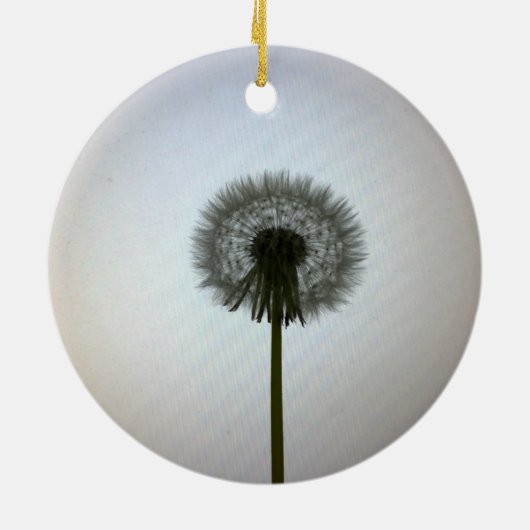 Een enkele Dandelion tegen een witte achtergrond Keramisch Ornament (Achterkant)
