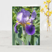 één enkele perfecte iris kaart (Gele Bloem)
