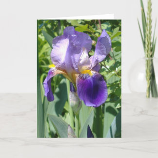 één enkele perfecte iris kaart