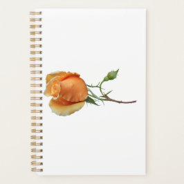 Een enkele roos stek     planner