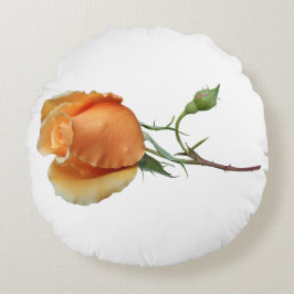 Een enkele roos stek     rond kussen