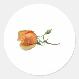 Een enkele roos stek    ronde sticker
