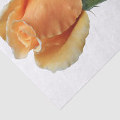 Een enkele roos stek tissuepapier (Detail)