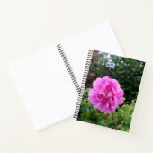 Een Enkele Roze Bloem Notitieboek (Binnen)