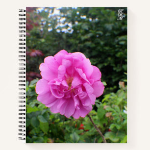 Een Enkele Roze Bloem Notitieboek