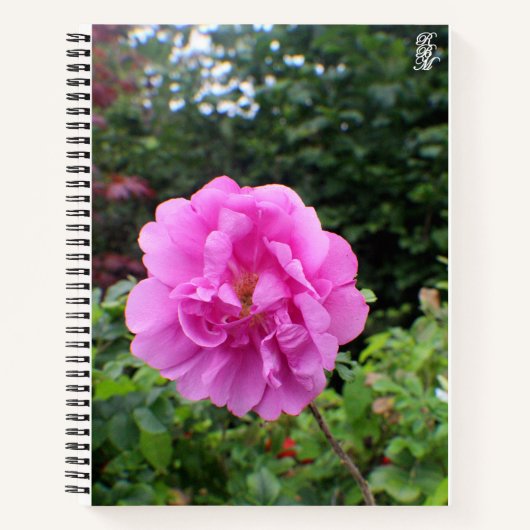 Een Enkele Roze Bloem Notitieboek (Voorkant)