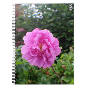Een Enkele Roze Bloem Notitieboek