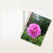 Een Enkele Roze Bloem Planner (Display)
