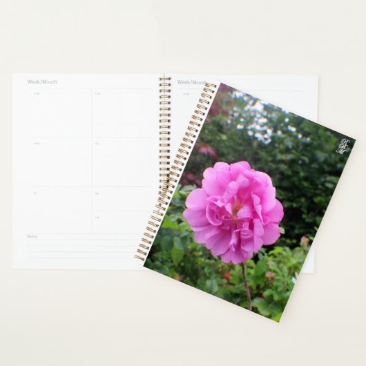 Een Enkele Roze Bloem Planner (Display)