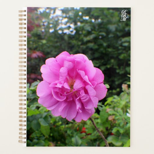 Een Enkele Roze Bloem Planner (Voorkant)