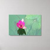 Een enkele roze waterlelie in een vijver canvas afdruk (Voorkant)