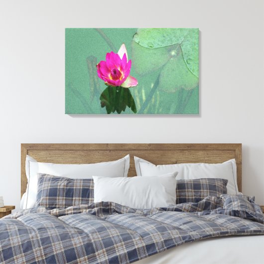 Een enkele roze waterlelie in een vijver canvas afdruk (Insitu (Slaapkamer))