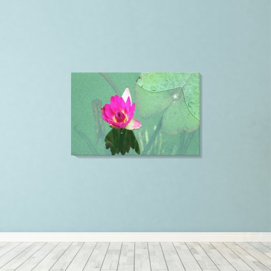 Een enkele roze waterlelie in een vijver canvas afdruk (Insitu (Houten vloer))