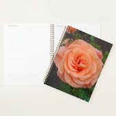 Een Enkele Sinaasappelbloem Planner (Display)