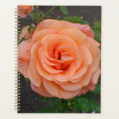 Een Enkele Sinaasappelbloem Planner (Voorkant)
