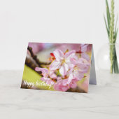 Een enorme berg roze Sakura-bloemen in het voorjaa Kaart (Voorkant)