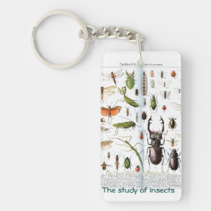 Een entomoloog sleutelhanger