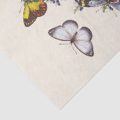 Een episode van de natuurlijke geschiedenis van de tissuepapier (Detail)