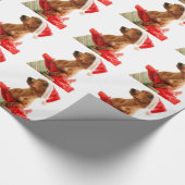 Een erg doxie kerst cadeaupapier (Hoek)