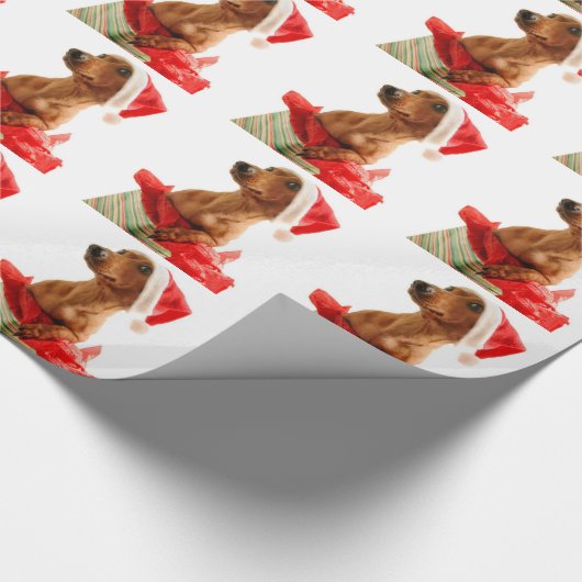 Een erg doxie kerst cadeaupapier (Hoek)