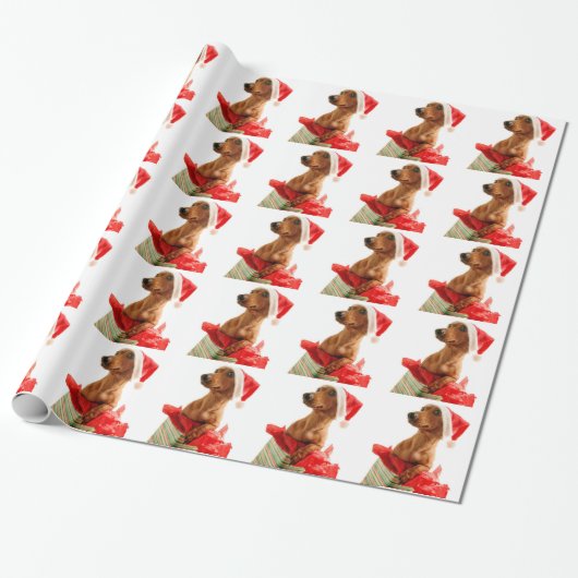 Een erg doxie kerst cadeaupapier (Uitgerold)