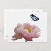 een etheral bezoekt een grote roze pony briefkaart (Voorkant / Achterkant)