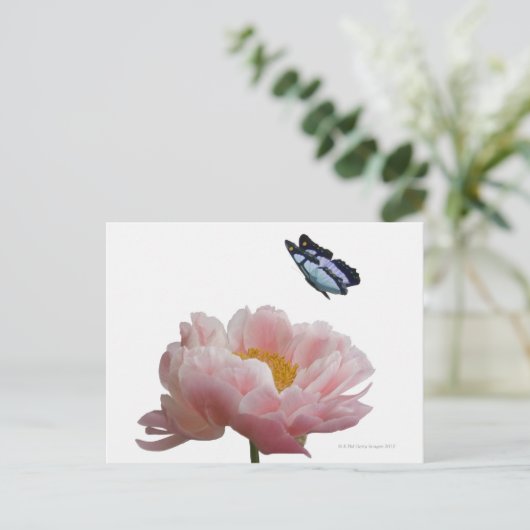 een etheral bezoekt een grote roze pony briefkaart (Staand voorkant)