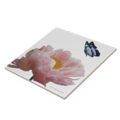 een etheral bezoekt een grote roze pony tegeltje (Zijkant)