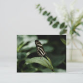 Een evenwichtig Briefkaart (Staand voorkant)