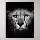 Een exotisch Afrikaans dier Poster (Voorkant)